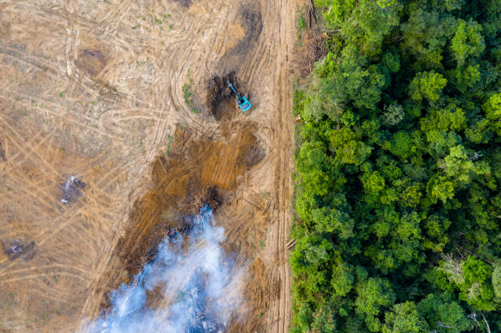 Vista aérea do desmatamento na Amazônia que intensifica as mudanças climáticas