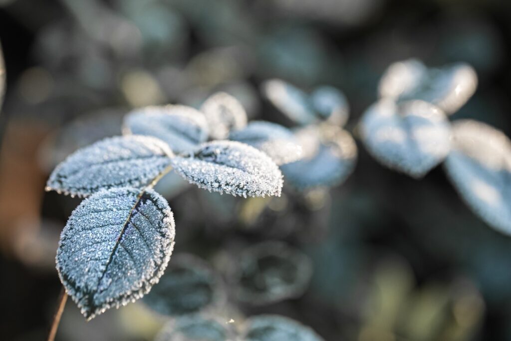 O inverno é caracterizado por temperaturas mais baixas e dias mais curtos